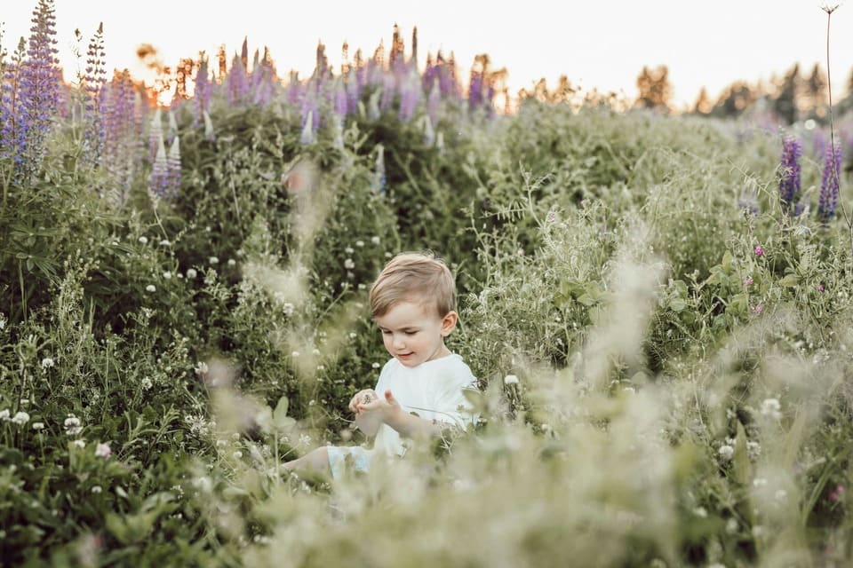 Child immersed in Montessori outdoor play, discovering textures and colors in a natural sensory-rich setting.