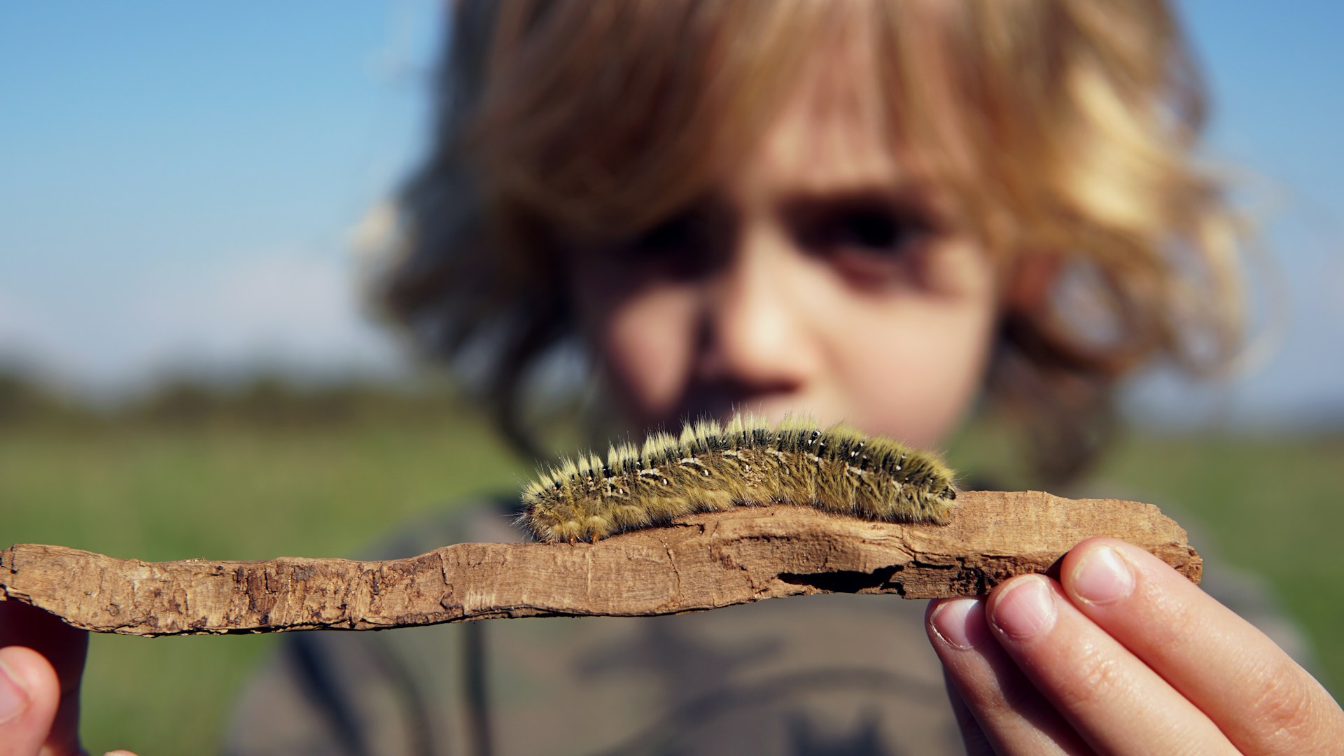 Nature as a teacher in Montessori — a child closely observing a caterpillar, fostering curiosity, scientific thinking, and respect for living systems through real-world nature experiences.