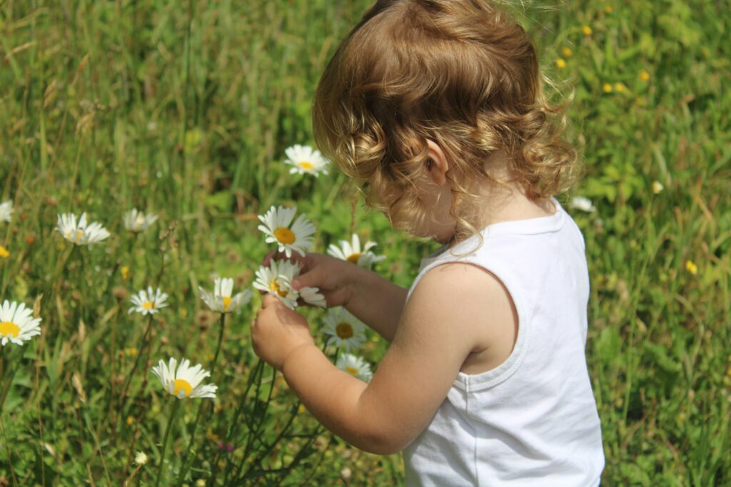 Nature as a teacher — a toddler exploring flowers in a natural meadow, supporting sensory development, calm attention, and early observation in a Montessori context.